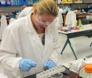 Amy Reimer, science teacher from Core Knowledge Charter School in Verona, gets ready to load a gel. 