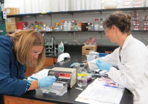 Megan Wagner (left) and Katie Aliota, science teachers from Cardinal Heights Upper Middle School in Sun Prairie, WI; load an agarose gel with colored dyes.
