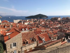 Red-tiled roofs of the city