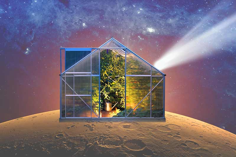 From Antarctica to Mars Growing Food in Extreme