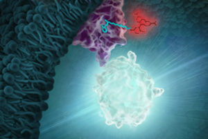 NanoBRET TE Kinase Assay