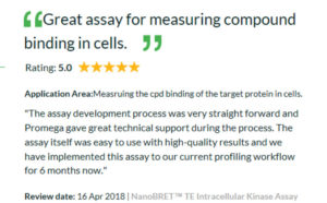 A review of the NanoBRET TE Kinase assay from SelectScience® .