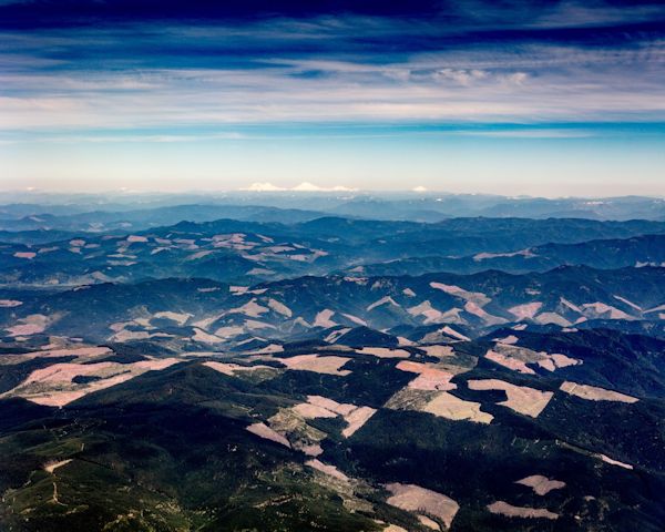 Clearcut Forest in Oregon's Cascase Mountains in April, 2016