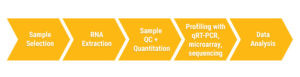 Five steps of miRNA profiling