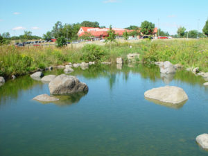 The red roof of Woods Hollow Child Care center peeks out over the prairie swale at the Promega Madison campus.