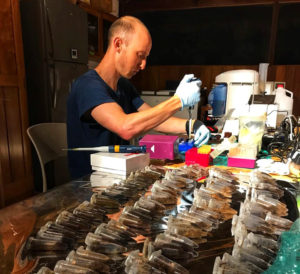 Gideon Erkenswick begins extractions on fecal samples collected from wild tamarins in 2017. Location: The GreenLab, Inkaterra. 