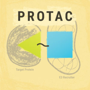 PROTAC components: target protein ligand, E3 ligase and linker, these are components in the described roadmap for PROTAC development.