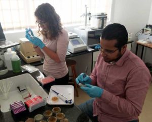 Students in Sam Nujoma molecular laboratory