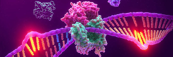 3D artistic rendering of mismatch repair. Microsatellite instability (MSI)  which can result from defects in mismatch repair is a biomarker for some cancers 