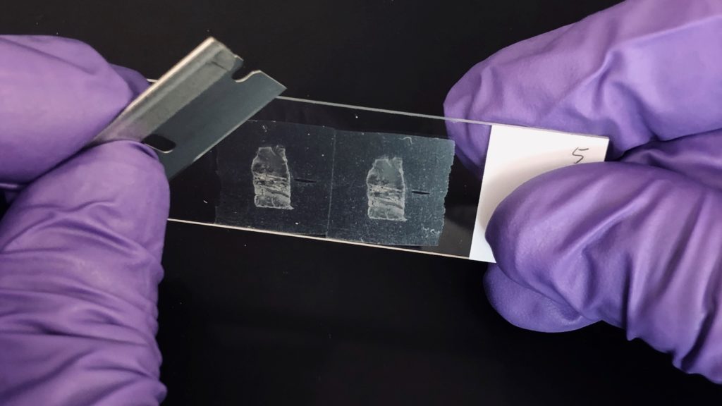 With Maxwell Instruments and chemistries for FFPE samples, RNA quality is suitable for many critical assays.