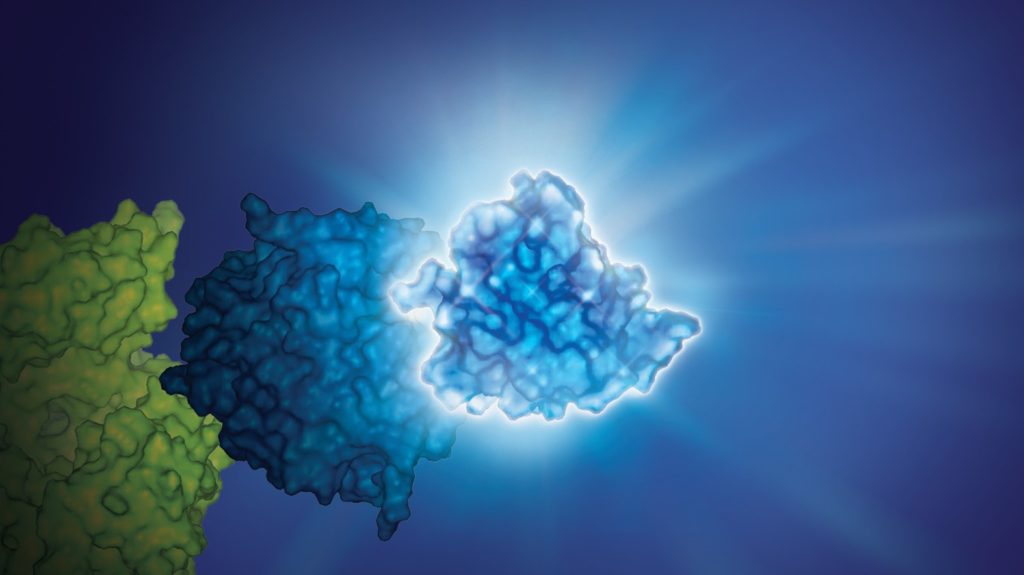 Bright NanoLuc® Luciferase