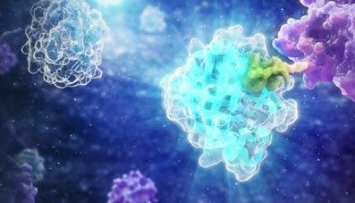 targeted protein degradation and protacs