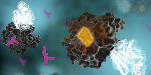 NanoBRET target engagement