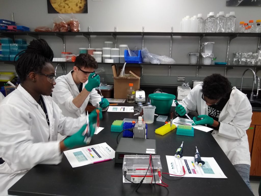 Students from Dominican High School AP Biology busy at work 
during a BTC Institute field trip 