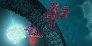 nanobret technology for kinase target engagement