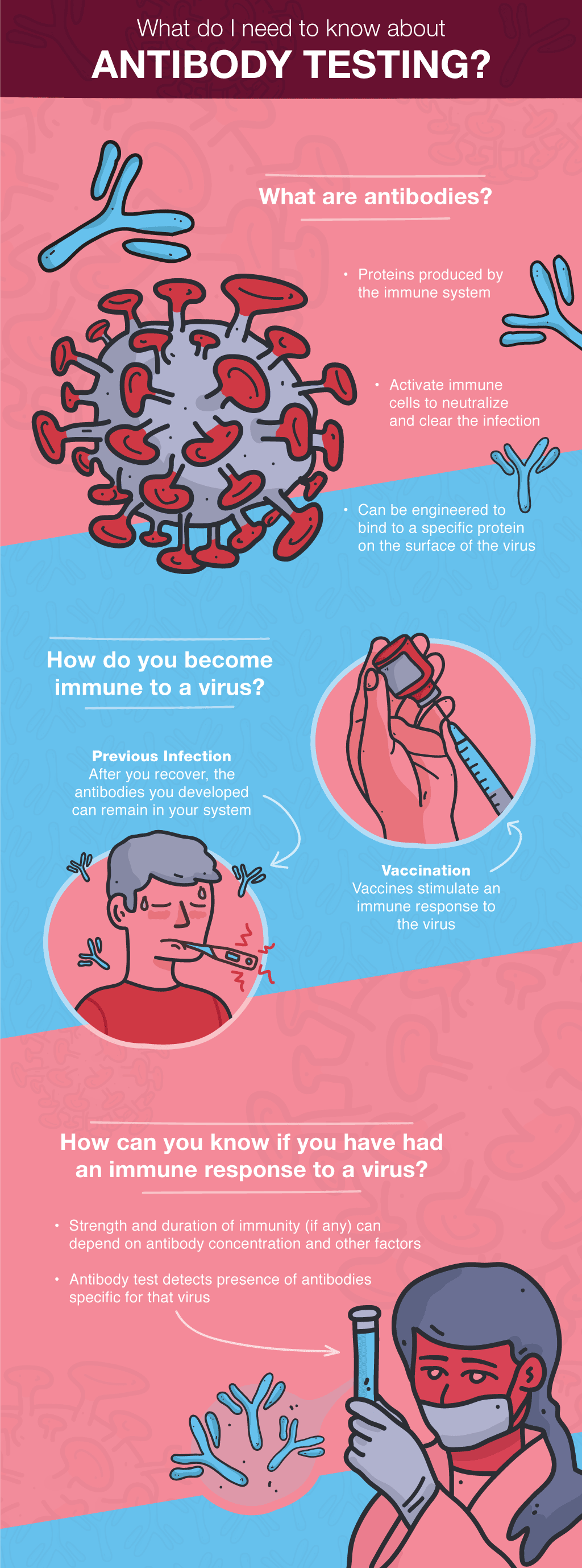 Infographic describing an immune response to a virus.