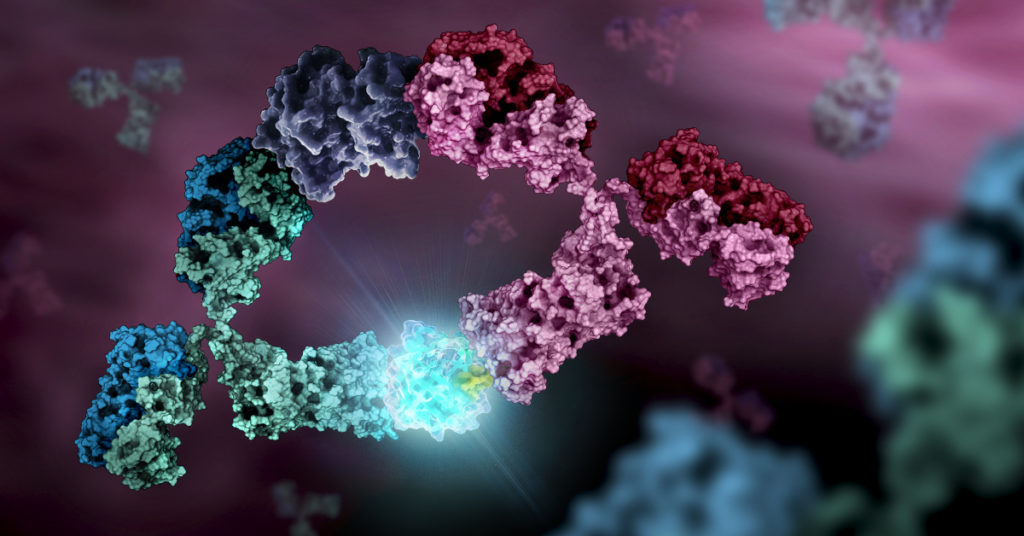 3D rendering of a Lumit Assay which can be used  for plate-based screening assay to measure the affinities of Fc interactions of therapeutic mAbs.