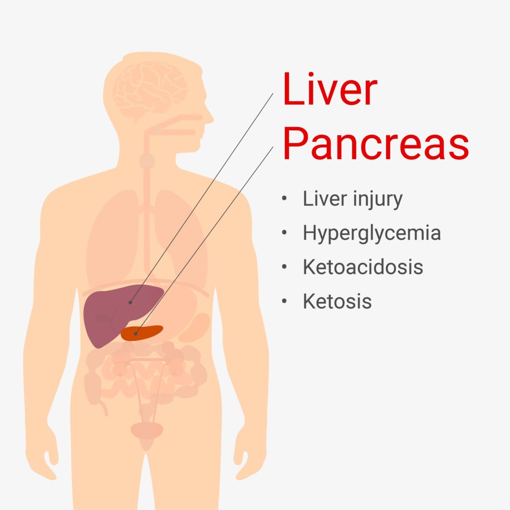COVID-19 symptoms in the liver and pancreas