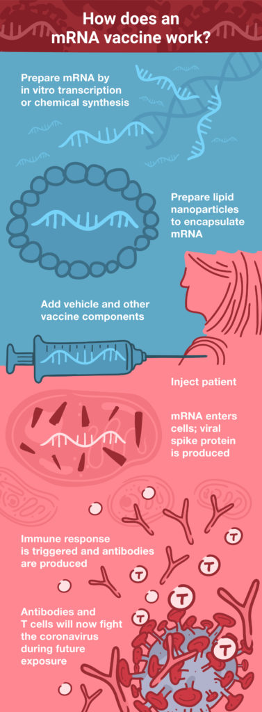 how does an mRNA coronavirus vaccine vaccine work to prevent COVID-19?