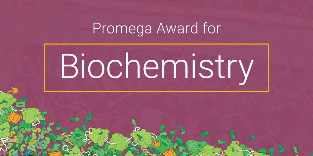 Promega Award for Biochemistry image