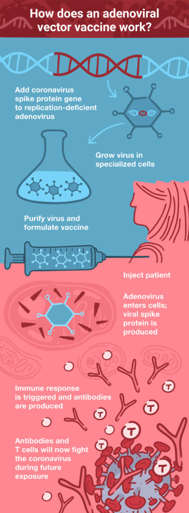 How does an adenoviral vector vaccine work to treat COVID-19?