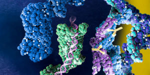 Characterizing DNA Repair Proteins with Cell-Free Protein Expression ...