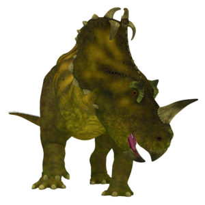 Centrosaurus is a herbivorous Ceratopsian dinosaur that lived in Canada in the Cretaceous Period. A recent report describes the characterization of cancer in a Centrosaurus dinosaur fossil.
