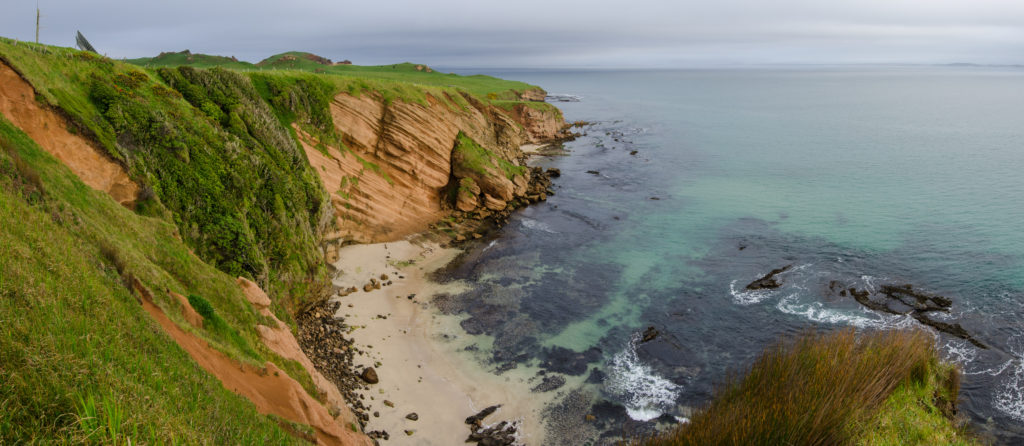 Researchers studied three species of bioluminescent sharks near the Chatham Islands, New Zealand