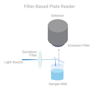 Depiction of the setup of a filter-based plate reader.