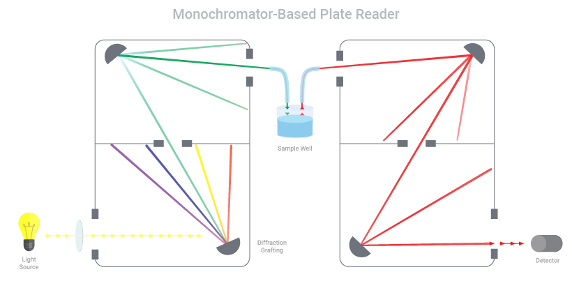Monochromator-based plate reader