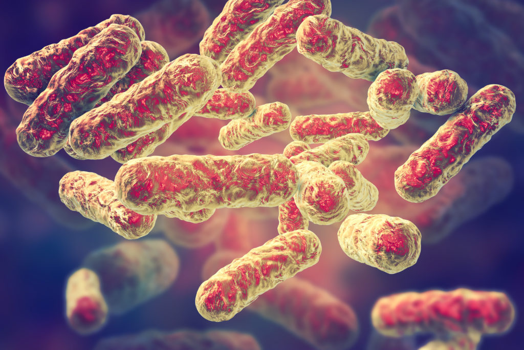 Bartonella henselae bacteria, the causative agent of cat-scratch disease or bartonellosis,. 3D illustration