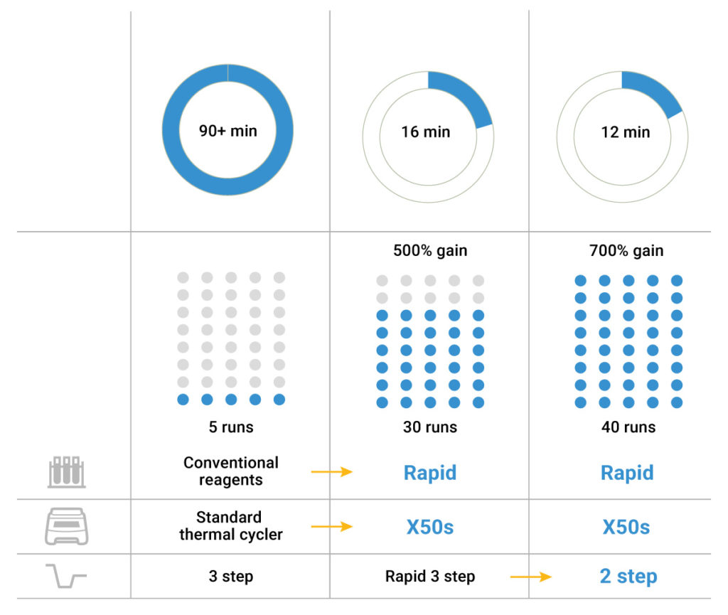 Rapid PCR with GoTaq Master Mix and Eppendorf Mastercycler