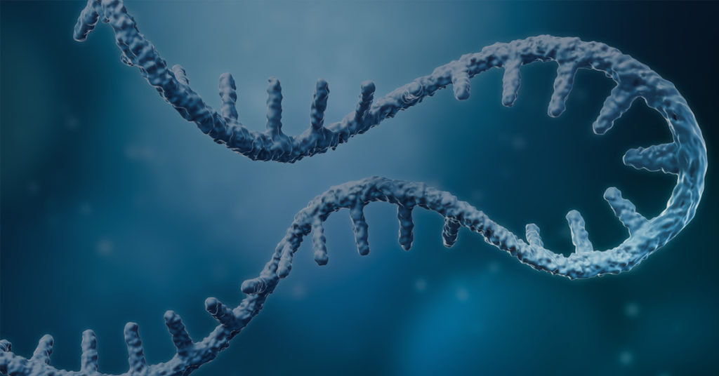 lncRNA, long noncoding RNA