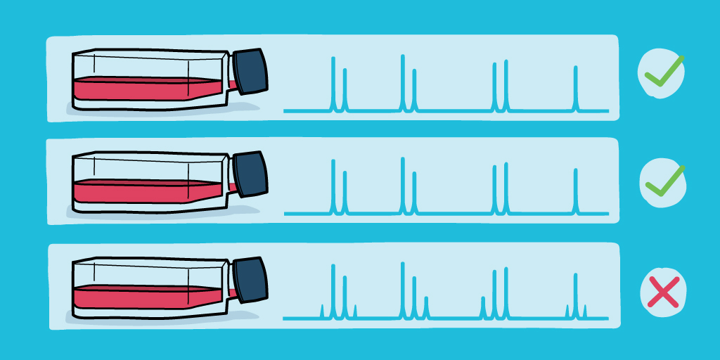 Infographic depicting cell line authentication results