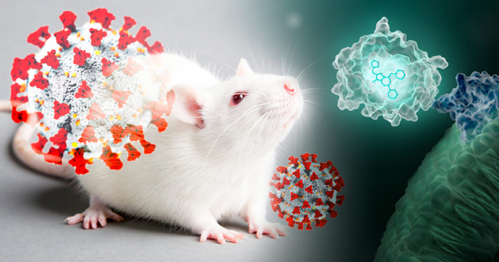 Artists interpretation of in vivo imaging of viral infections in mice using NanoLuc luciferase.