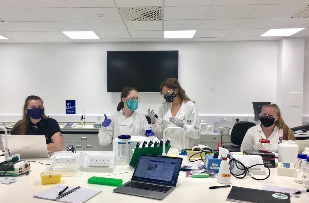 Members of the 2021 University of St Andrews iGEM team are working to develop a safer sunscreen to protect coral reefs.