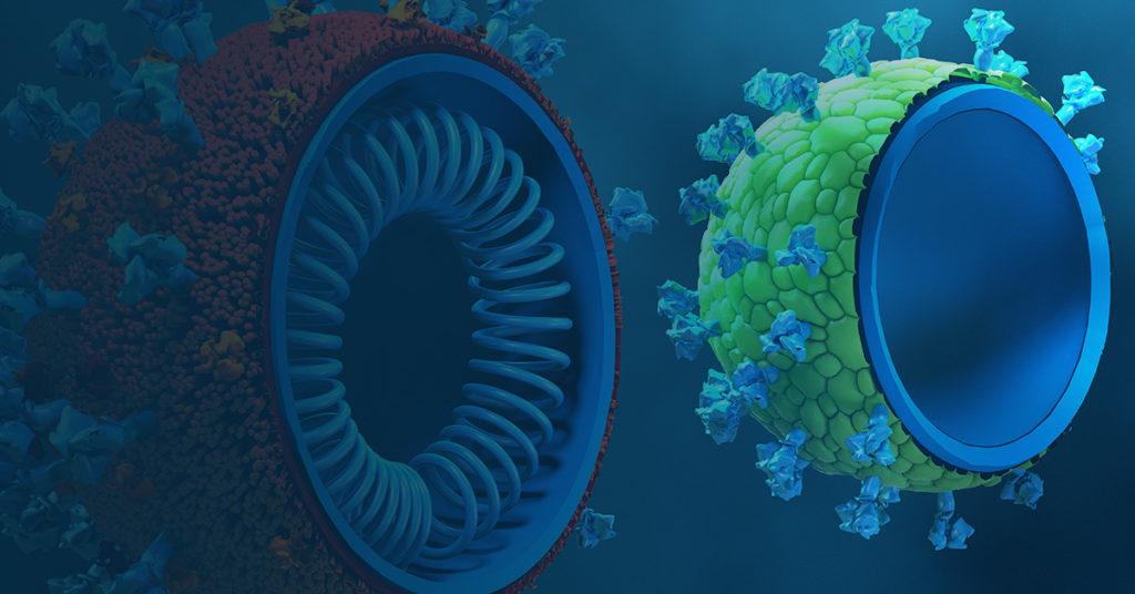 SARS-CoV-2 virus-like particles