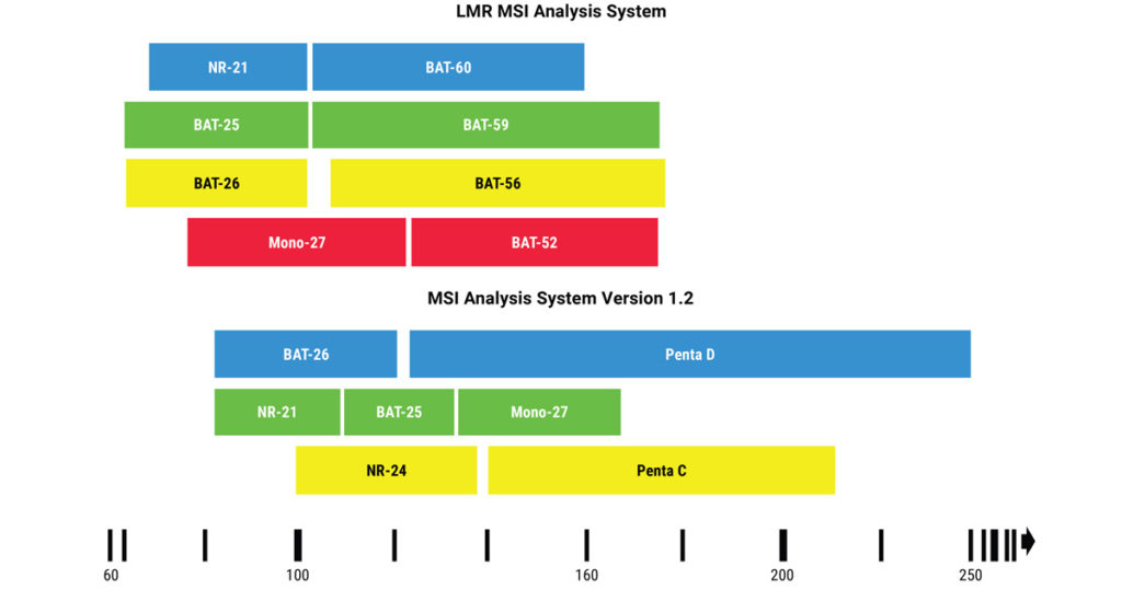 The LMR MSI Analysis System offers an eight-marker panel that contains four of the gold standard markers from the MSI Analysis System and four long mononucleotide repeat markers.