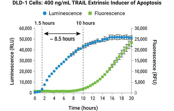 Data figure showing secondary necrosis detected using the RealTime-Glo™ Annexin V Apoptosis and Necrosis Assay. Real-time assays