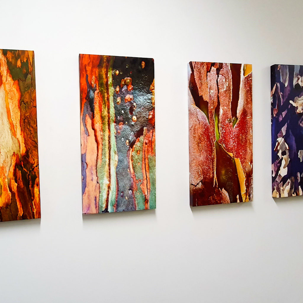 These images of tree bark adorn the hallway in our Promega Australia branch office.