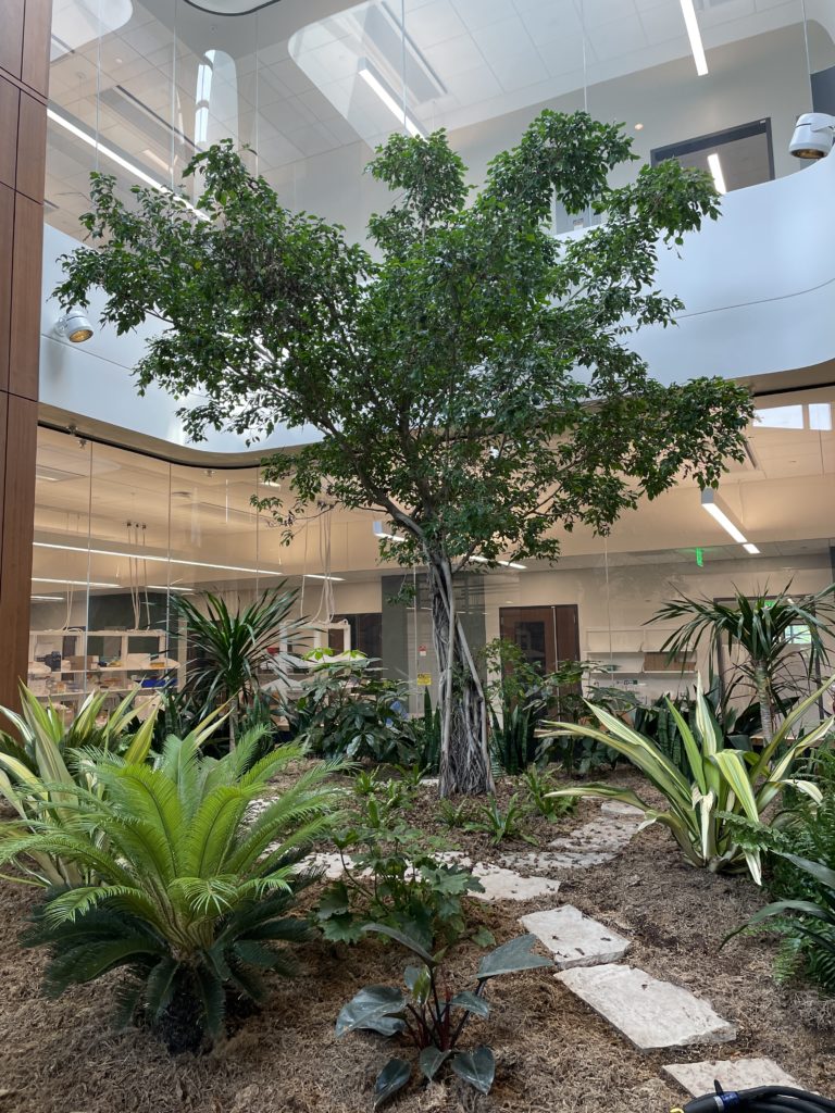 Kornberg Center features a variety of natural plantings.