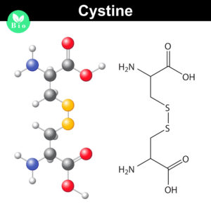 Disulfide bond shuffling occurs when the S-S linkage is not between a Cys and its normal partner