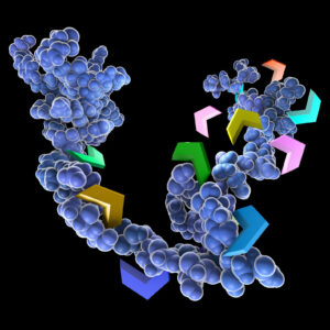 3D model of protein and protease cleavage