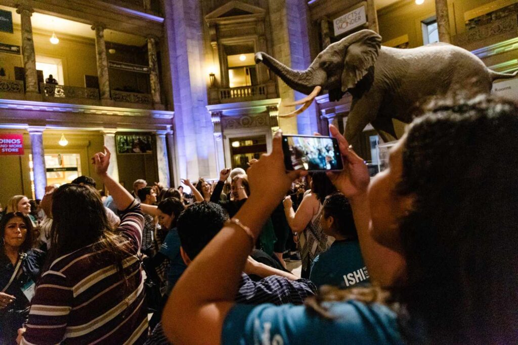 A crowd dances in a stone courtyard with a taxidermy elephant on display.