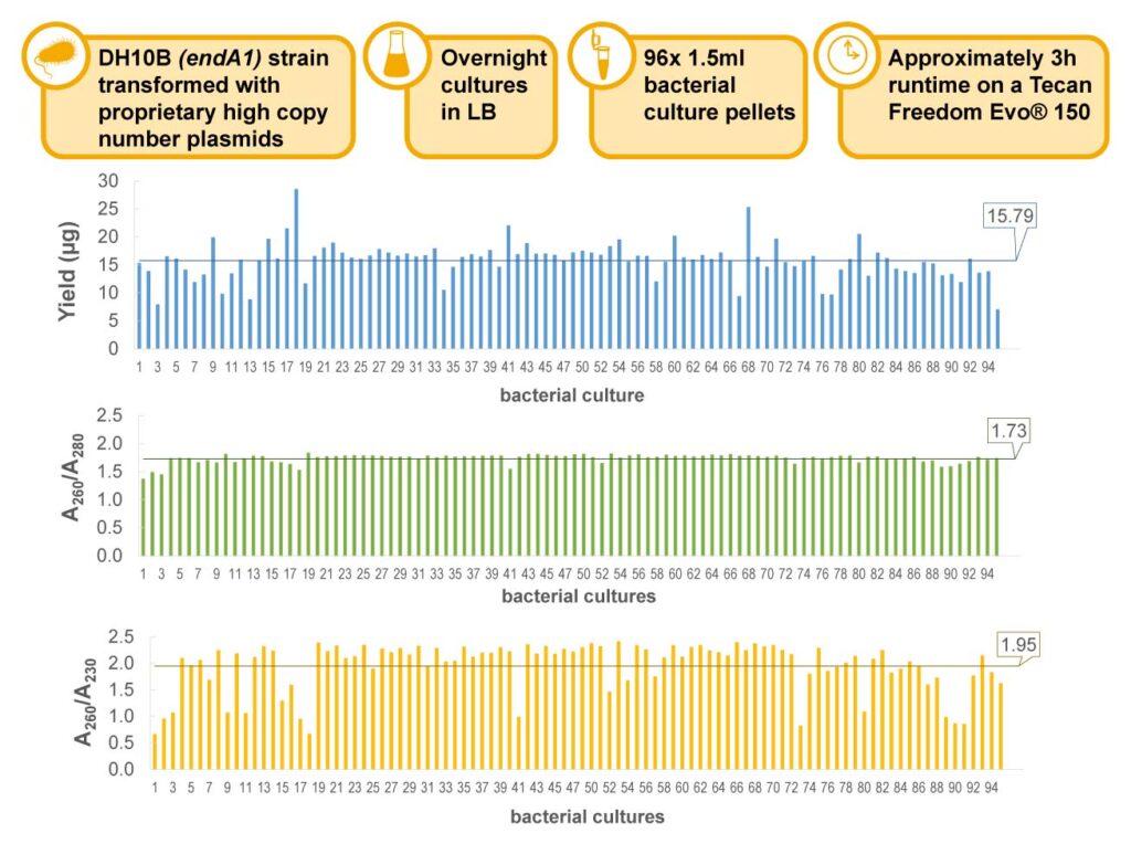 Data showing consistency for plasmid purification across 96 bacterial culture pellets.