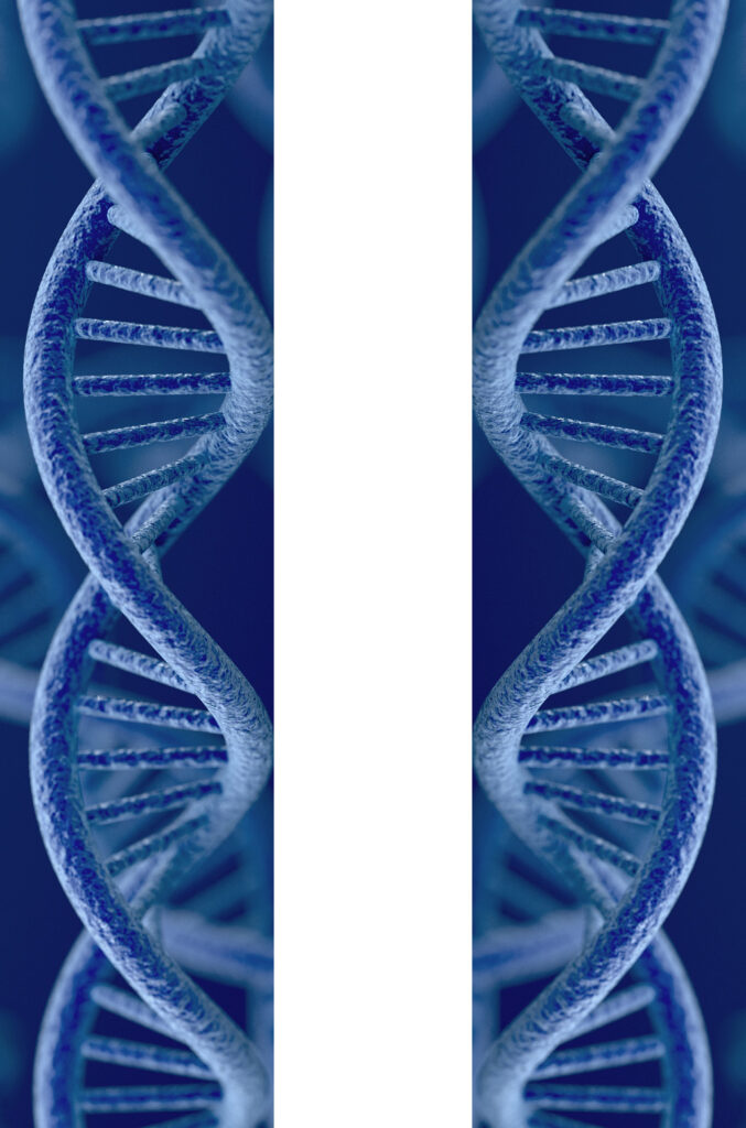 Two DNA helices that are mirror images