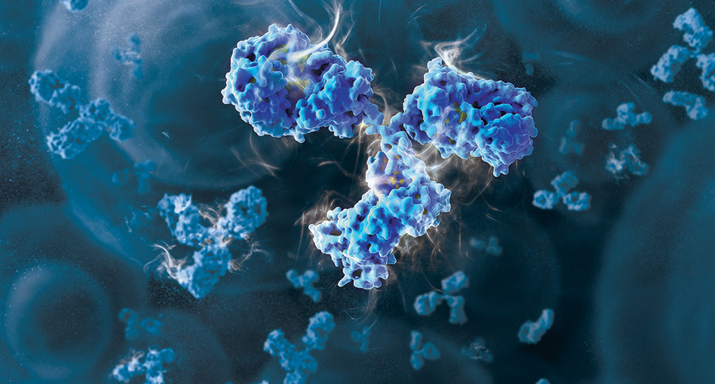 3D illustration of a monoclonal antibody