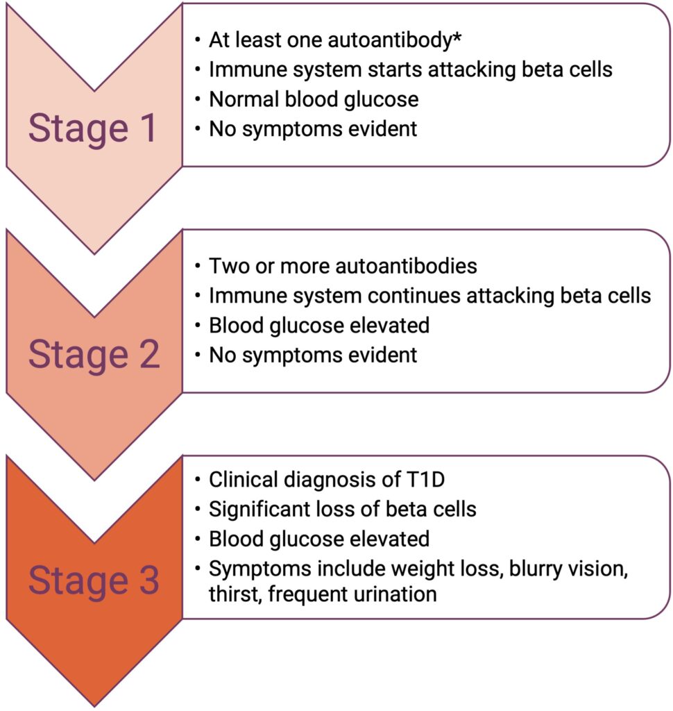 Stages of type 1 diabetes