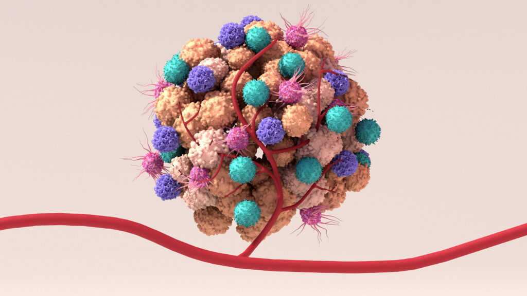 3D depiction of a tumor and the "normal" cells and blood vessels that feed cancer cells