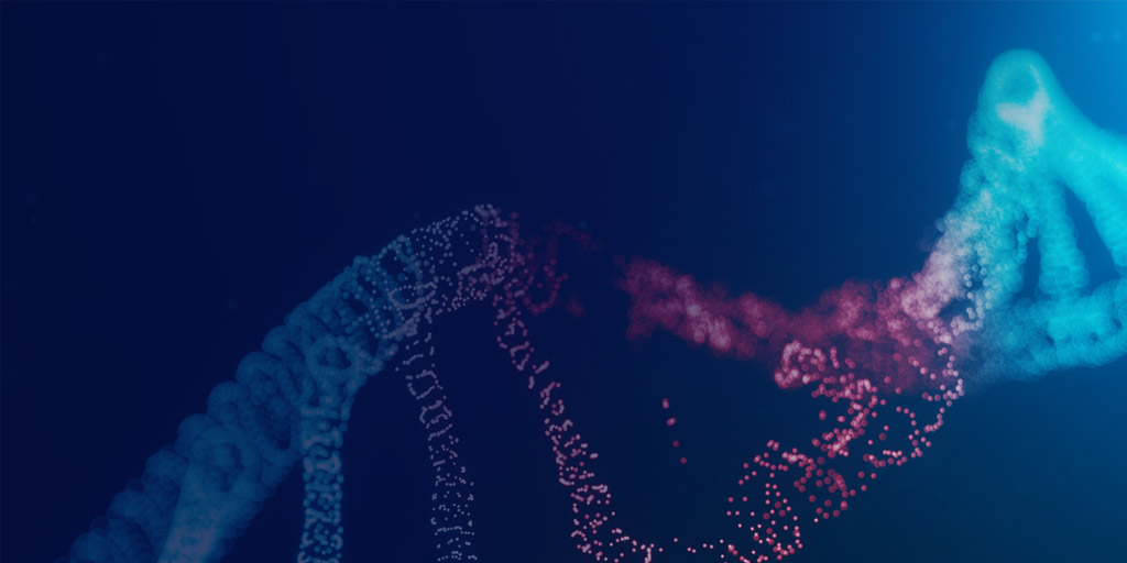 PARP DDR pathway for drug discovery